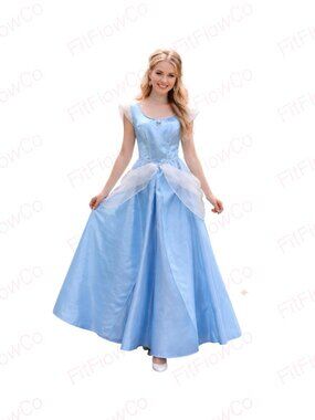 Disney Cinderella Princess Dress Costume Girls Large 12-14 Blue